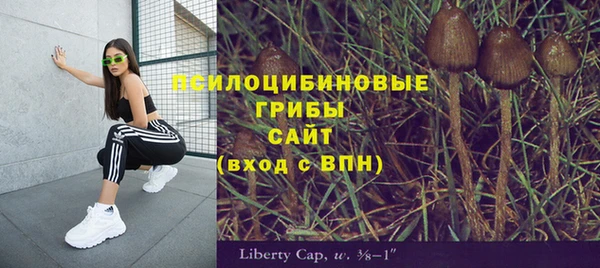 ГАЛЛЮЦИНОГЕННЫЕ ГРИБЫ Медногорск