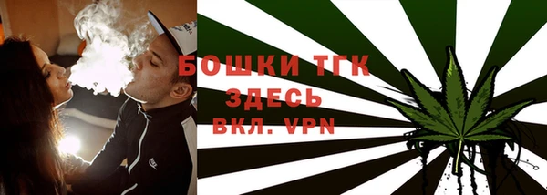 ГАЛЛЮЦИНОГЕННЫЕ ГРИБЫ Медногорск