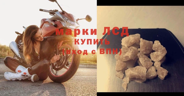 стафф Медногорск